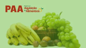 Projeto Cesta Verde: Benefício Que Gera Vida