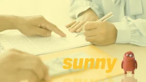 Empréstimos Rápidos Sunny: Dinheiro na Sua Conta Hoje